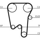 ContiTech Zahnriemen CT902