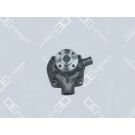 OE Germany Wasserpumpe, Motorkühlung 04 2000 226001