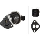 Hella AGR-Ventil 6NU 010 171-491