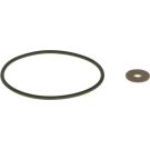 BOSCH Dichtring F 00R 0P0 819