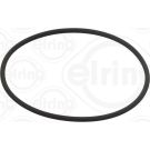 Elring Dichtung, Ansaugkrümmergehäuse 389.370