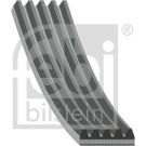 FEBI BILSTEIN 188476 Keilrippenriemen