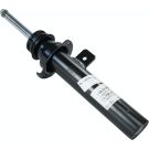 Stoßdämpfer 318 293