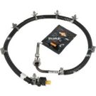 Sensor, Abgastemperatur 707447