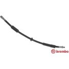 Brembo 2 x BREMBO Bremsschlauch ESSENTIAL LINE T 11 016