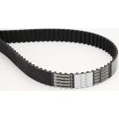 ContiTech Zahnriemen CT977