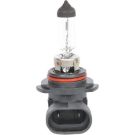BOSCH Glühlampe Pure Light BL 1 987 301 063