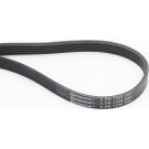 ContiTech Keilrippenriemen 5PK1334