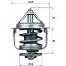 Mahle Thermostat, Kühlmittel BEHR TX 87 77D