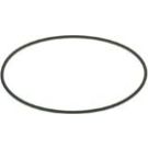 BOSCH Dichtring F 00N 201 204