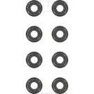 Victor Reinz Dichtungssatz, Ventilschaft 12-31306-07