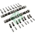 INA Nockenwellensatz 428 0030 30