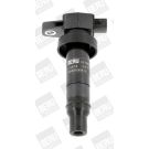 BorgWarner (BERU) Zündspule ZS474
