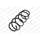 Fahrwerksfeder 4095065 Fahrwerksfeder 4095065