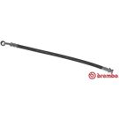 Bremsschlauch T 24 124