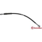 Bremsschlauch T 59 072