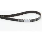 ContiTech Zahnriemen CT504