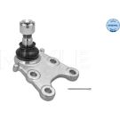 Meyle Trag-/Führungsgelenk MEYLE-ORIGINAL: True to OE 42-16 010 0010