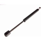 Gasfeder, Koffer-/Laderaum 12-0068