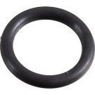 Dichtring 2430124 Dichtring 2430124