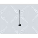 OE Germany Einlassventil 01 0520 470006