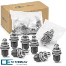 OE Germany 8 x Ventilstößel 803620 OE Germany 8 x Ventilstößel 803620