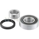 Radlagersatz R179.22 Radlagersatz R179.22