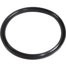 Metzger Dichtring 2430088