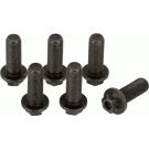 Sachs Schraubensatz, Schwungrad 1874 000 045