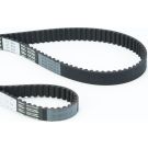 ContiTech Zahnriemen CT957(SET) ContiTech Zahnriemen CT957(SET)