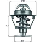 Mahle Thermostat, Kühlmittel BEHR TX 81 89D