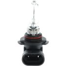 BOSCH Glühlampe Pure Light BL 1 987 301 062