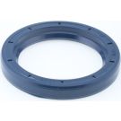 Dichtring 12010924B