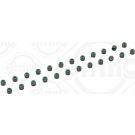 Elring Dichtungssatz, Ventilschaft 424.820