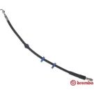 Bremsschlauch T 61 128