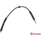 Bremsschlauch T 06 041