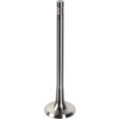 FEBI BILSTEIN 181648 Auslassventil FEBI BILSTEIN 181648 Auslassventil