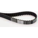 ContiTech Zahnriemen CT1005