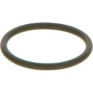 BOSCH Dichtring F 00V C38 042