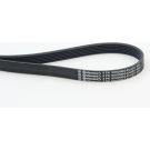 ContiTech Keilrippenriemen 6PK1019 ELAST