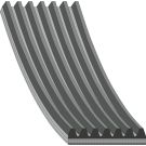 FEBI BILSTEIN 177663 Keilrippenriemen