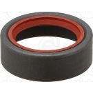 Elring Dichtring 249.173