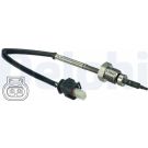 Delphi Sensor, Abgastemperatur TS30052