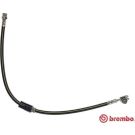 Brembo Bremsschlauch ESSENTIAL LINE T 85 112