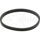 Elring Dichtung, Ansaugkrümmergehäuse 655.850