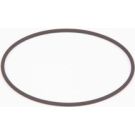 BOSCH Dichtring F 01M 100 371