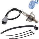 Blue Print Lambdasonde ADS77027