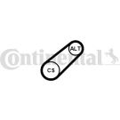 ContiTech Keilrippenriemen 6PK799 ELAST