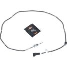 Sensor, Abgastemperatur 707391