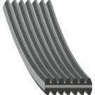 FEBI BILSTEIN 34463 Keilrippenriemen